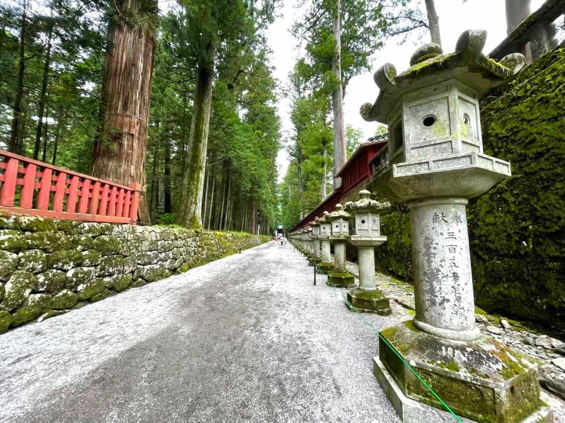 おもしろわかる！世界遺産ユニバーシティ 日光の社寺 日本独特の宗教空間が残る