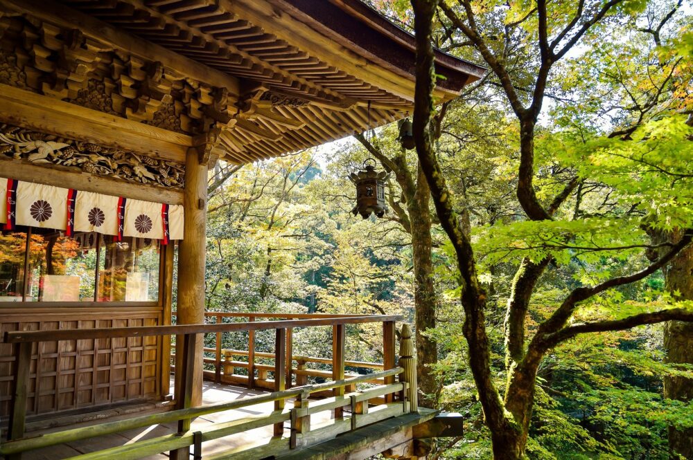 おもしろわかる！世界遺産ユニバーシティ 法隆寺地域の仏教建造物 各日本の時代の寺院の発展を見ることができる