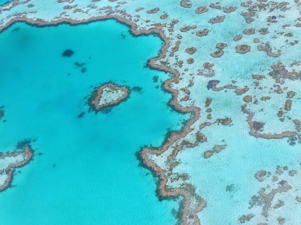 おもしろわかる！世界遺産ユニバーシティ グレートバリアリーフ 他に類を見ない美しい世界最大のサンゴ礁