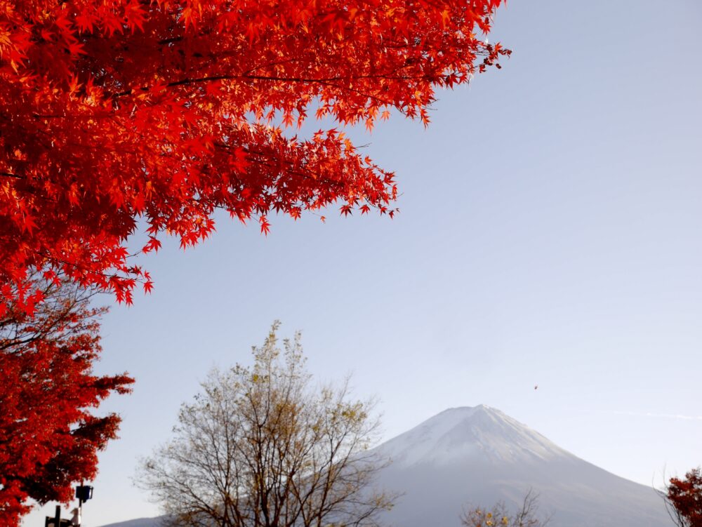 おもしろわかる！世界遺産ユニバーシティ 富士山 - 信仰の対象と芸術の源泉 富士山が自然遺産として認められなかった理由