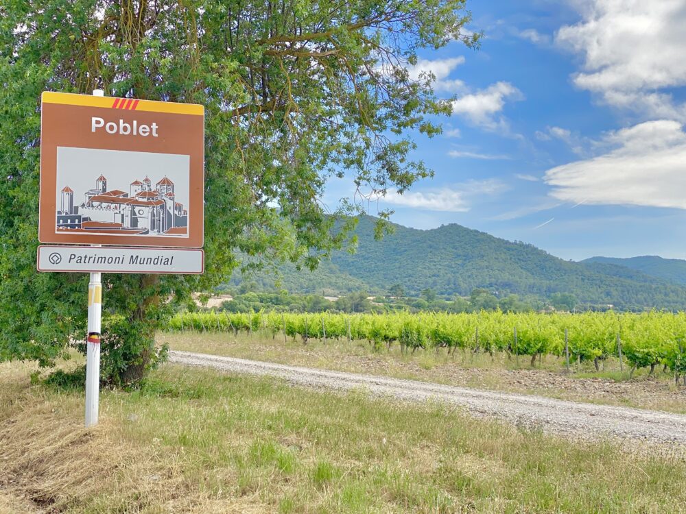 おもしろわかる！世界遺産ユニバーシティ ポブレー修道院 ポブレーはワインの産地として有名