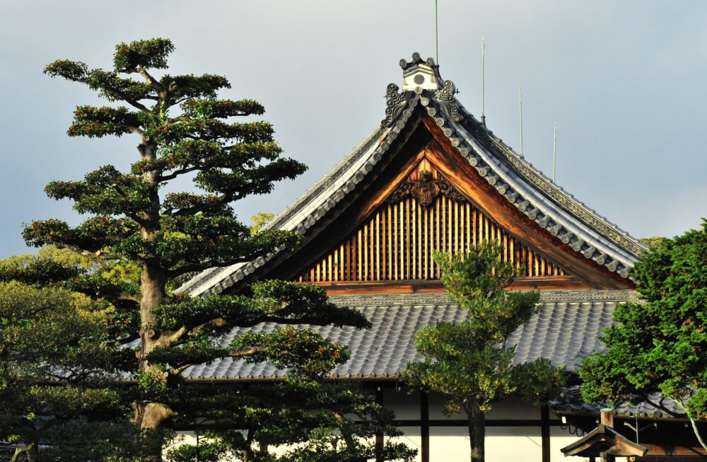 おもしろわかる！世界遺産ユニバーシティ 古都京都の文化財 二条城