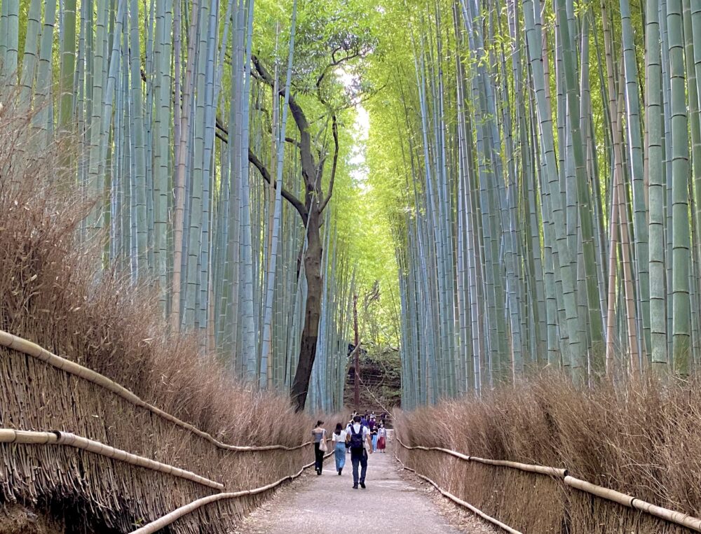 おもしろわかる！世界遺産ユニバーシティ 古都京都の文化財 京都に数多くの美しい社寺が残されている理由
