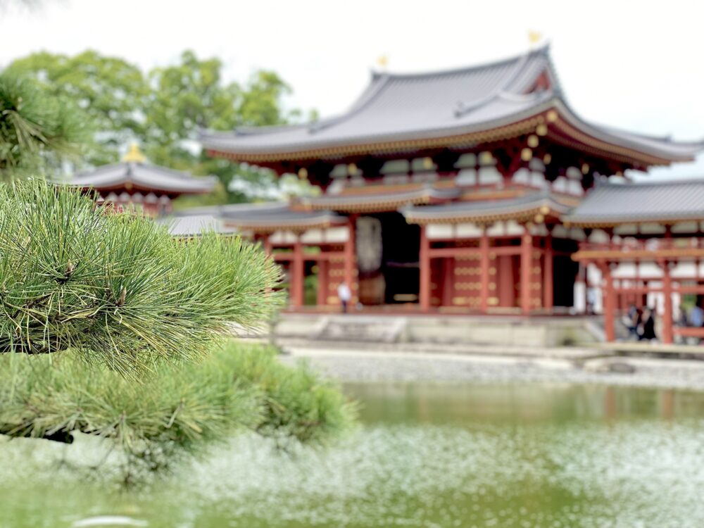おもしろわかる！世界遺産ユニバーシティ 平等院 宇治上神社 ”極楽浄土”を表現した寺院の建築、庭園の造園方法