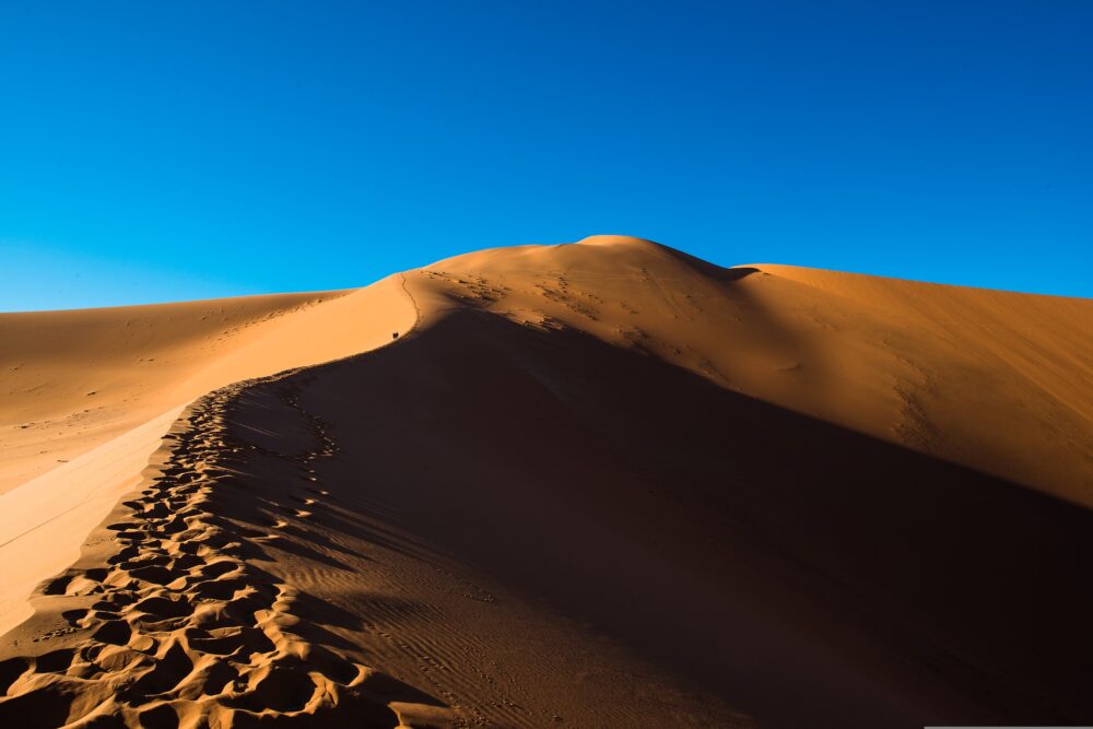 おもしろわかる！世界遺産ユニバーシティ ナミブ砂漠 そもそも「ナミブ砂漠」とは？