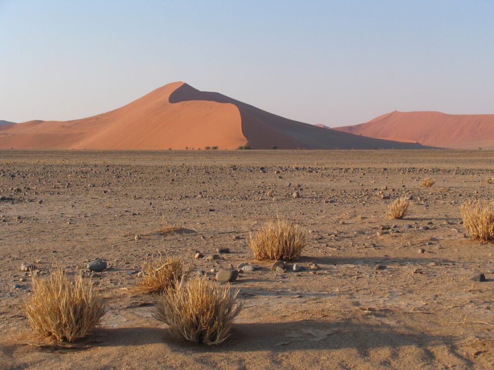 おもしろわかる！世界遺産ユニバーシティ ナミブ砂漠 「ナミブ砂漠」のプチ観光情報