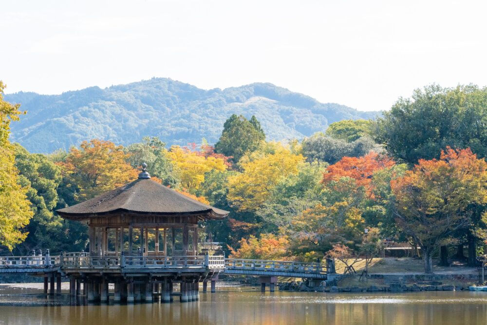 おもしろわかる！世界遺産ユニバーシティ 古都奈良の文化財 理由④：日本独特の宗教・文化を感じ取れる