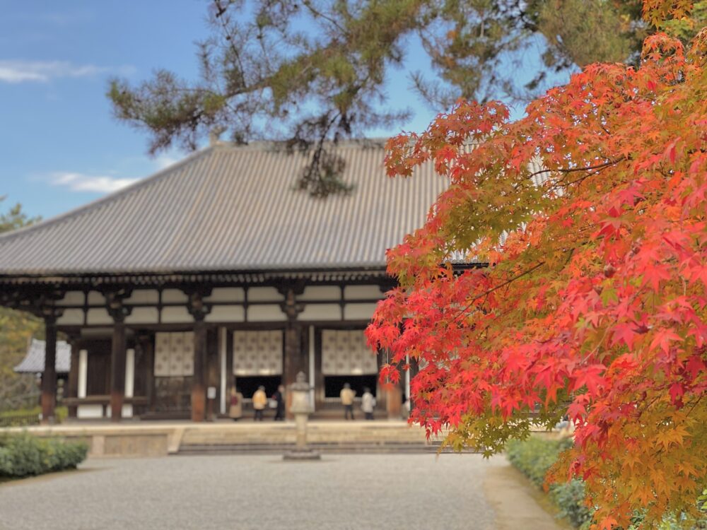 おもしろわかる！世界遺産ユニバーシティ 古都奈良の文化財 唐招提寺（とうしょうだいじ）