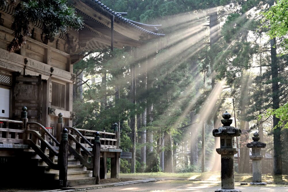 おもしろわかる！世界遺産ユニバーシティ 紀伊山地の霊場と参詣道（熊野古道）　理由1：日本独自の宗教の発展・交流・融合が見られる