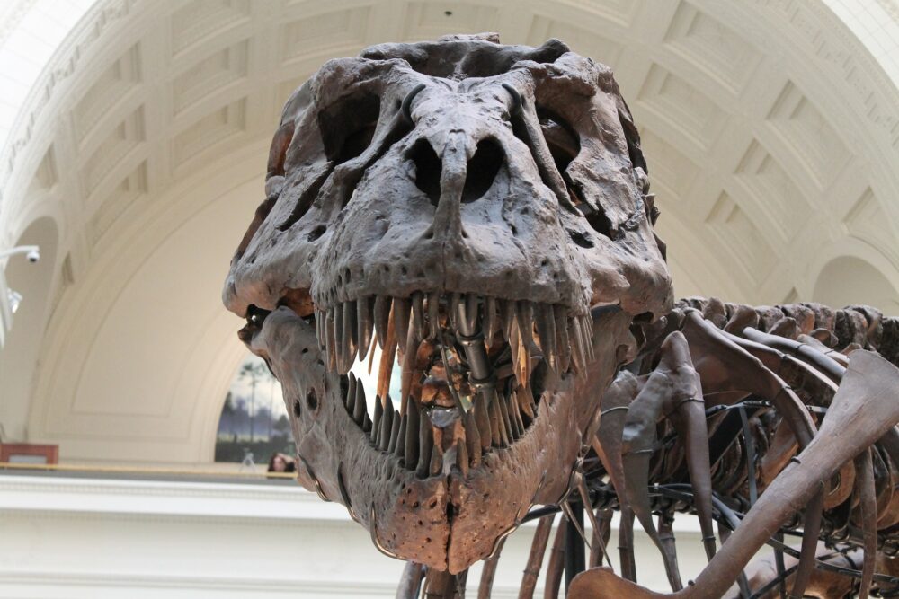 おもしろわかる！世界遺産ユニバーシティ ダイナソール州立公園（州立恐竜公園） 世界最多となる恐竜の化石が発見された