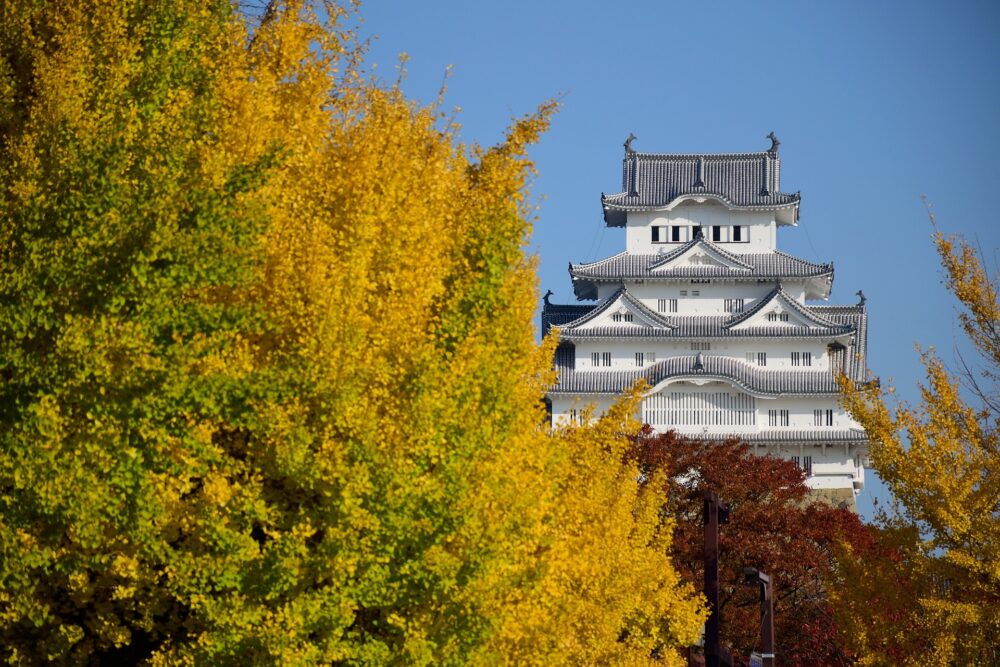 おもしろわかる！世界遺産ユニバーシティ 姫路城 姫路城建造の決定
