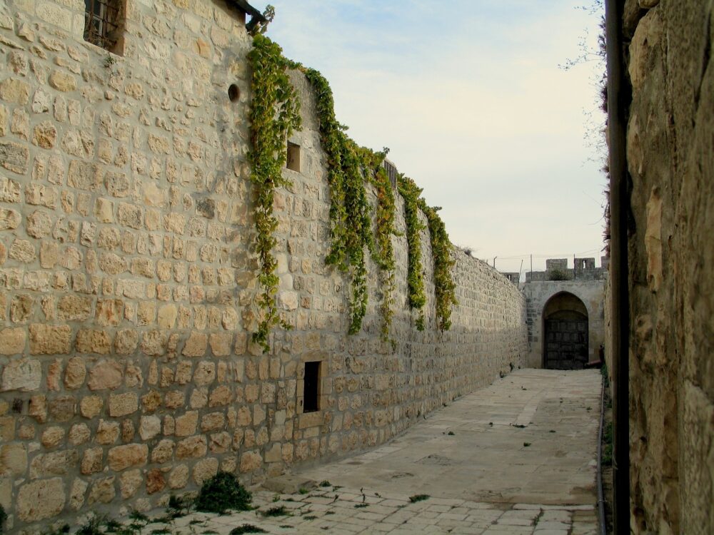 おもしろわかる！世界遺産ユニバーシティ 古都ダマスカス ダマスカス城壁
