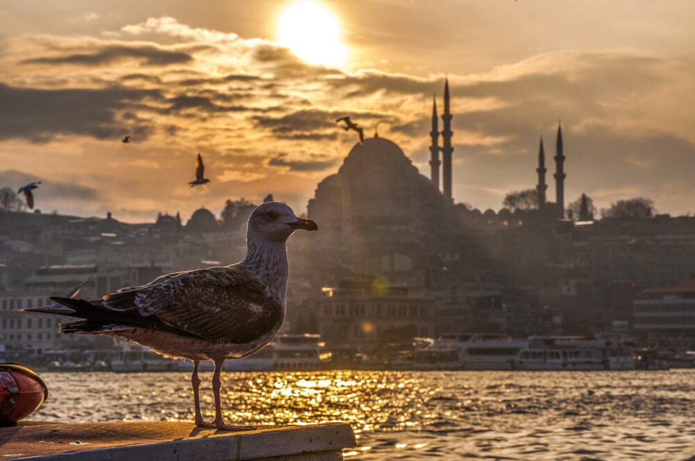 おもしろわかる！世界遺産ユニバーシティ イスタンブール歴史地区 イスタンブールの歴史