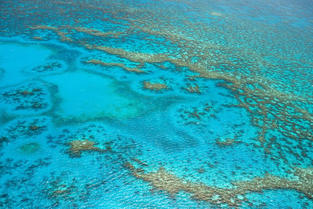 おもしろわかる！世界遺産ユニバーシティ ニューカレドニアのラグーン：環礁の多様性と関連する生態系 理由1：世界を代表する美しいサンゴ礁の海が見られる