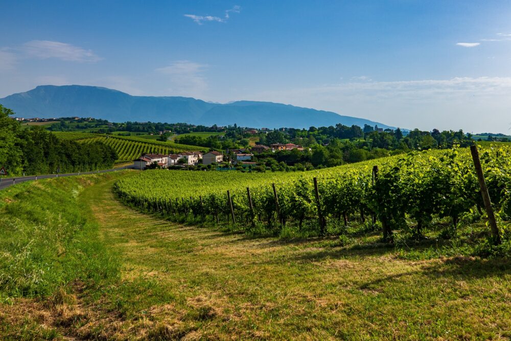 おもしろわかる！世界遺産ユニバーシティ 世界遺産のワイン産地一覧 コネリアーノとヴァルドッビアーデネのプロセッコ栽培丘陵群