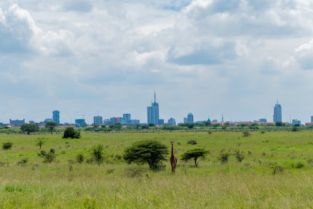 おもしろわかる！世界遺産ユニバーシティ サファリツアーにおすすめのアフリカの国立公園一覧 ナイロビ国立公園