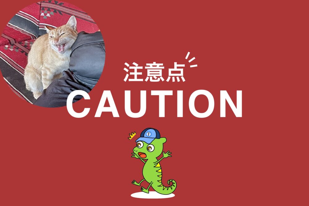 おもしろわかる！世界遺産ユニバーシティ ペトラ観光情報まとめ 注意点