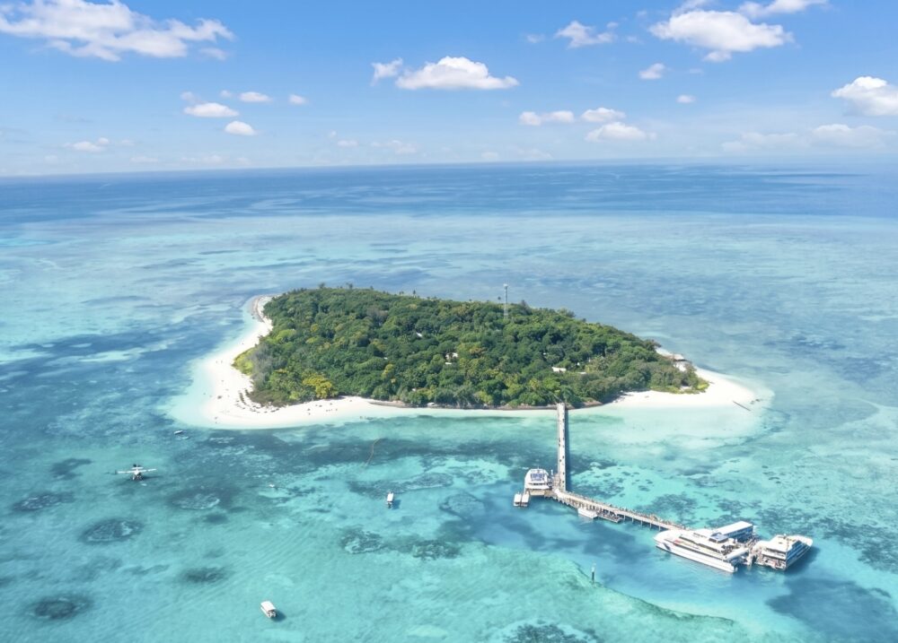 おもしろわかる！世界遺産ユニバーシティ ケアンズおすすめビーチ 大人気観光島「グリーン島」
