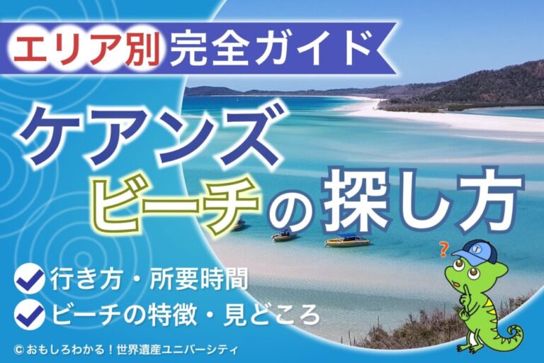 【2026年最新】「ケアンズ ビーチ」の正解！目的別の滞在日数とおすすめエリア完全ガイド